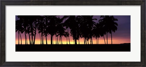 Framed Silhouette of palm trees on the beach, Puuhonua o Honaunau National Historical Park, Big Island, Hawaii, USA Print