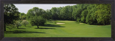 Framed Trees On A Golf Course, Baltimore Country Club, Baltimore, Maryland, USA Print