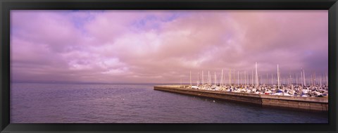 Framed Yachts moored at a harbor, San Francisco Bay, San Francisco, California, USA Print
