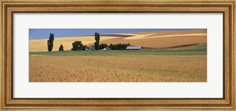 Framed Farm, Saint John, Washington State, USA Print