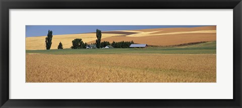 Framed Farm, Saint John, Washington State, USA Print