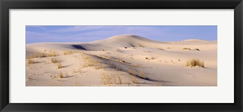 Framed Sand dunes on an arid landscape, Monahans Sandhills State Park, Texas, USA Print