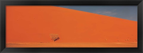 Framed Single tree in desert Namibia Print