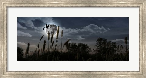 Framed Stork with a baby flying over moon Print