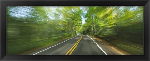 Framed Treelined road viewed from a moving vehicle Print
