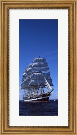 Framed Tall ships race in the ocean, Baie De Douarnenez, Finistere, Brittany, France Print