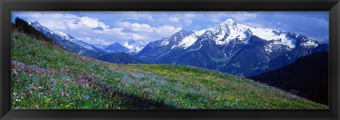 Framed Wildflowers Along Mountainside, Zillertaler, Austria Print
