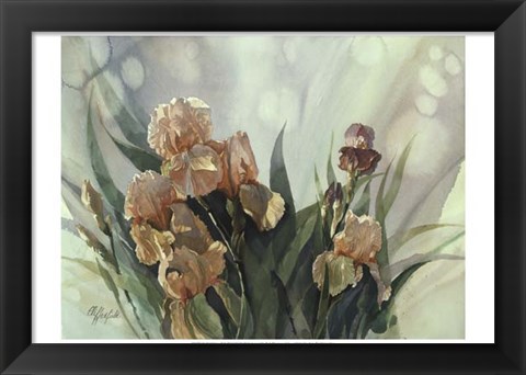 Framed Hadfield Irises II Print