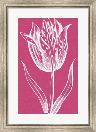 Framed Chromatic Tulips V Print