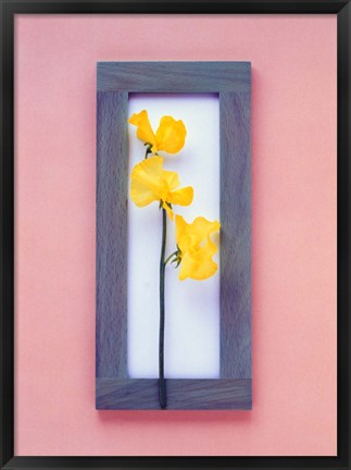 Framed Rectangular purple frame with yellow flowers on green stems in center on pink background Print