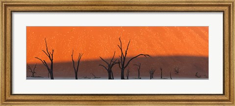Framed Dead trees in dry clay pan, Dead Vlei, Sossusvlei, Namib-Naukluft National Park, Namibia Print