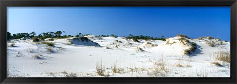 Framed Sand dunes in a desert, St. George Island State Park, Florida Panhandle, Florida, USA Print