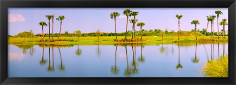 Framed Reflection of trees on water, Lake Worth, Palm Beach County, Florida, USA Print