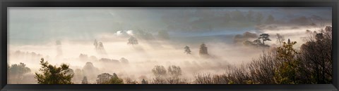 Framed Misty morning valley, Uley, Gloucestershire, England Print