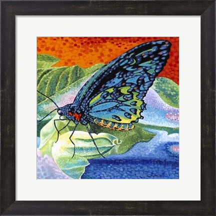 Framed Poised Butterfly II Print