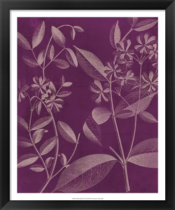 Framed Modern Botany III Print