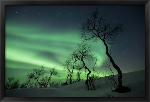 Framed Northern Lights in the arctic wilderness, Nordland, Norway Print