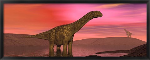 Framed Argentinosaurus dinosaurs amongst a colorful red sunset Print