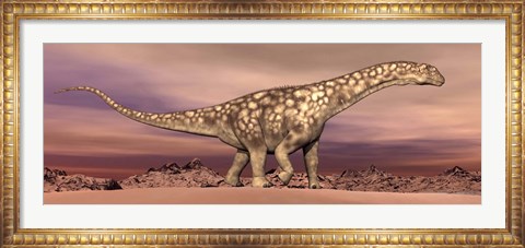 Framed Large Argentinosaurus dinosaur walking in the desert Print