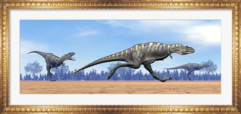Framed Three Aucasaurus dinosaurs running in the desert Print