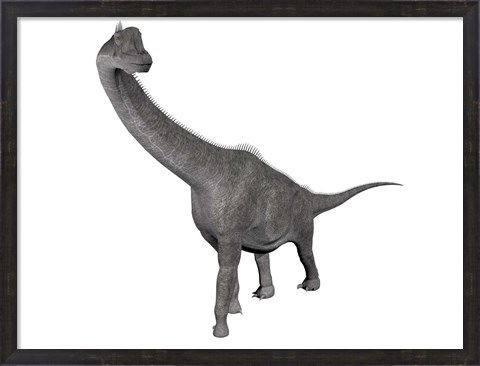 Framed Brachiosaurus dinosaur, white background Print