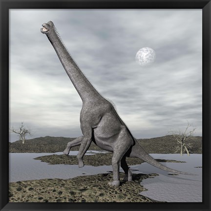 Framed Brachiosaurus dinosaur backdropped by a full moon Print