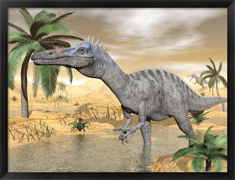 Framed Suchomimus dinosaur walking in the water in desert landscape Print