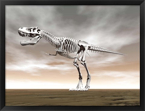 Framed Tyrannosaurus rex skeleton Print