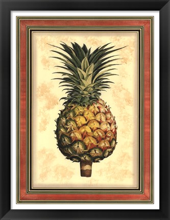 Framed Pineapple Splendor I Print
