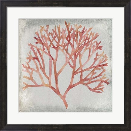 Framed Watercolor Coral IV Print