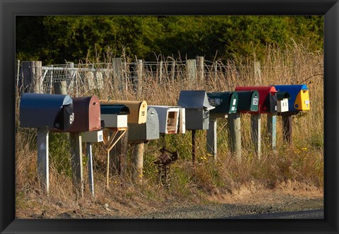 Framed Rural Letterboxes, Otago Peninsula, Dunedin, South Island, New Zealand Print