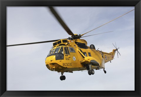 Framed Westland WS-61 Sea King helicopter of the Royal Air Force Print