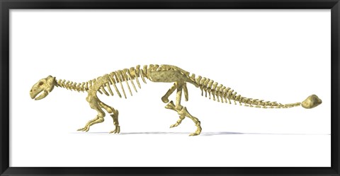 Framed 3D Rendering of an Ankylosaurus Dinosaur Skeleton Print