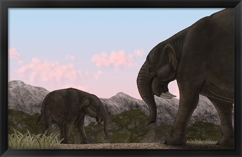 Framed Two Deinotherium, an Extinct Animal of the Miocene Epoch Print