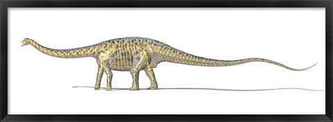 Framed 3D Rendering of a Diplodocus Dinosaur with Full Skeleton Superimposed Print