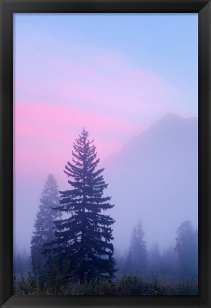 Framed Canada, British Columbia, Mount Robson Park Foggy sunrise Print