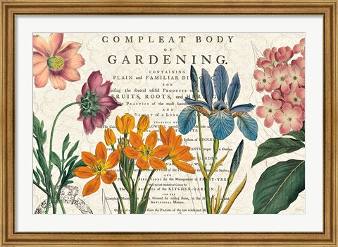 Framed Botany Print