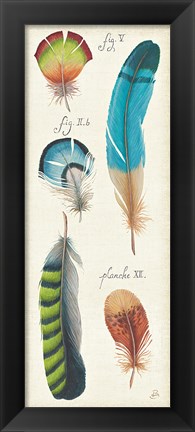 Framed Ornithology III Panel Print