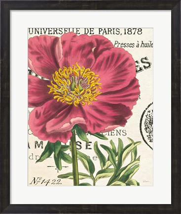 Framed Peony Botany Print