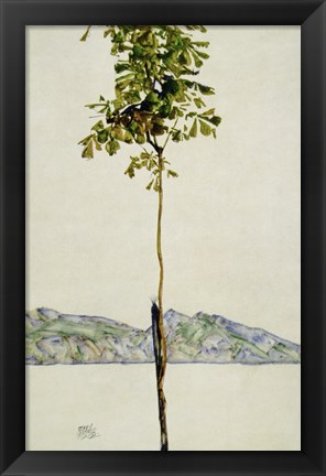 Framed Horse Chestnut Tree, Lake Constance. 1912 Print
