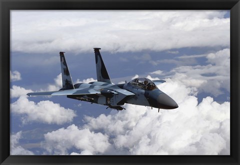 Framed F-15C Aggressor Print