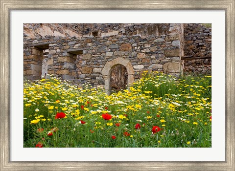 Framed Old building and wildflowers, Island of Spinalonga, Crete, Greece Print
