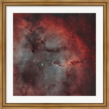 Framed IC 1396, The Elephant Trunk Nebula Print