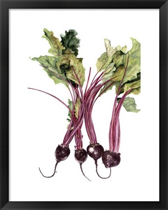 Framed Watercolor Beets Print