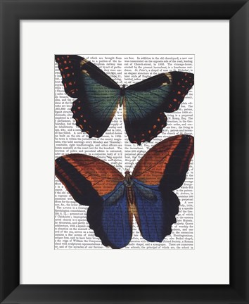 Framed Butterflies 4 Print