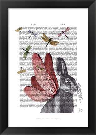 Framed Dragonfly Hare Print