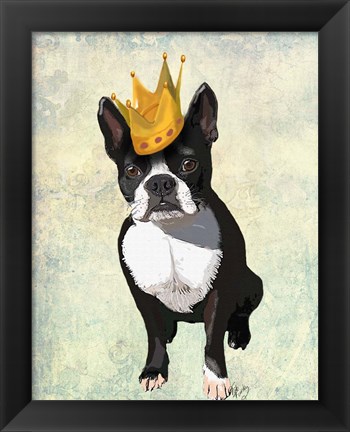 Framed Boston Terrier and Crown Print