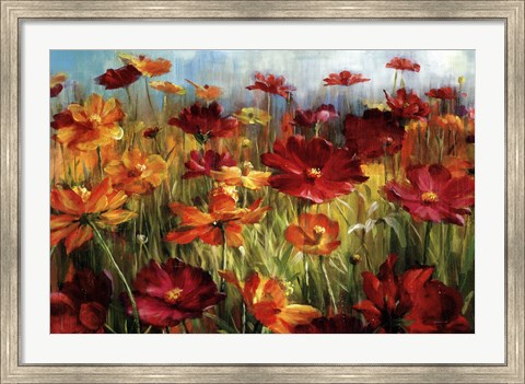 Framed Cosmos In The Field Print