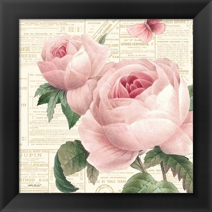 Framed Roses in Paris VI Print