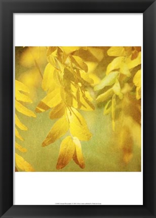 Framed Autumn Photography II Print